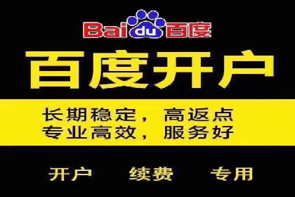 百度竞价推广公司实战案例：助力企业实现业绩翻倍增长